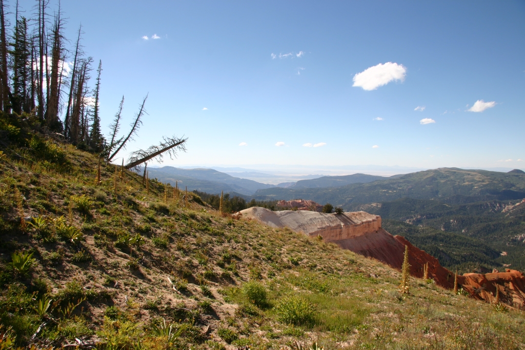 04 - Cedar Break (5).JPG